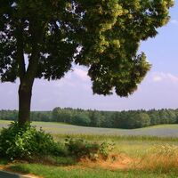 Fläminglandschaft
