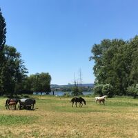 Idyllische Ausblicke vom Rundweg um den See