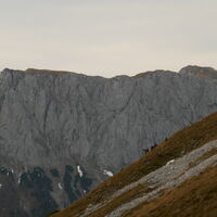 Gams - im Hintergrund der Feistringstein