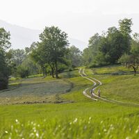 Liechtenstein-Weg bei Bofel zwischen Balzers und Triesen