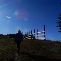 Unterberg