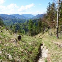 Der Abstieg zur Wolfgang-Straße (B 158) folgt Forstwegen und naturnahen Pfaden.