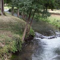 Wanderung Durchgang bei den Wölfen