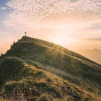 Morgens an der Winterstaude