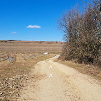 gleich wieder zurück bei der L2014