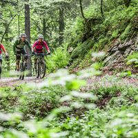 Unterwegs auf dem Gipfeltrail