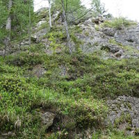 Fels an der Lichtensteinstraße