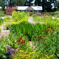 Grüne Beete im LandGarten im LandPark Lauenbrück