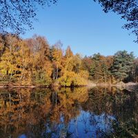 Fischteiche im Herbst bei Ventschau in der Samtgemeinde Dahlenburg..jpg
