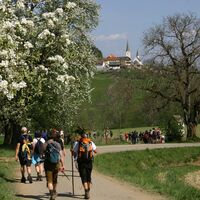 Wandern