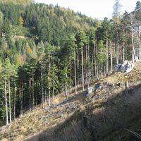 oberhalb der Almerin