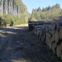 Wanderung rund um Burglemnitz