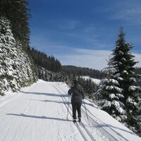 Wechsel-Panoramaloipe