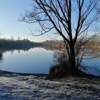 Dog lake bathing point