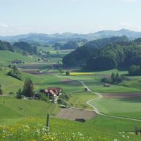 Dorf Mattern -  Rund ums Guggershorn