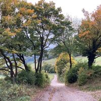 Genusswanderung