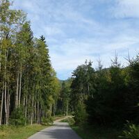 der Weiterweg