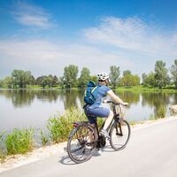 Radfahrer am Donauradweg in Altenwörth