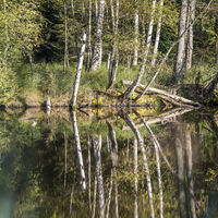 Das Wandergebiet Ventschau