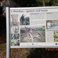 Infotafel Weinbau - gestern und heute