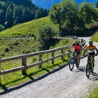 Weg zur Malga Trat