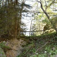 Naturbrücke