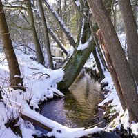 Winterlicher Sennebach in Schloß Holte-Stukenbrock