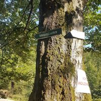 Wanderschild Königshäuschen