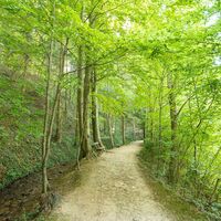 Hinterbrühl Pöllau: Weg entlang der Safen in der Oststeiermark