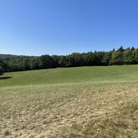 .. und entweder am Waldrand entlang oder abkürzend querfeldein..