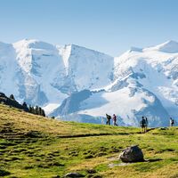Blick von der Alp Languard zur Bernina Gruppe