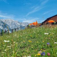 Katzenkopfhütte mit Blumenwiese