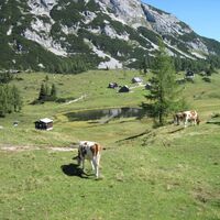 bergeseen trail 18: bad mitterndorf - tauplitzalm_img_23018975