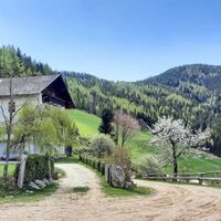 Bauernhof vlg. Greimegger
