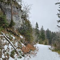 Felsen