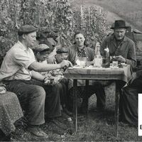 Historisches Bild aus den Glottertäler Weinbergen