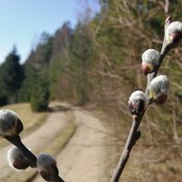 Wanderung rund um Burglemnitz