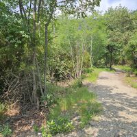 5.6 km Gerade weiter nach Campo Ferrato