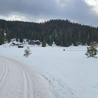 See mit Wildmoosalm
