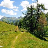 Natur in ihrer Ursprünglichkeit auf 2050 Metern Seehöhe erleben.