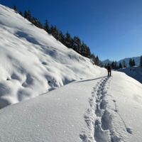 Abstieg Zottaalm