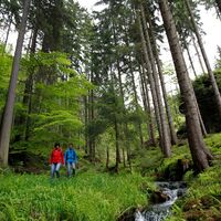 Wanderung bei Oberhof