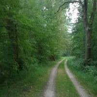 Isarradweg