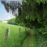 Natursteig Sieg Etappe 9