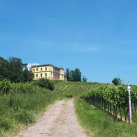 Villa Ludwigshöhe
