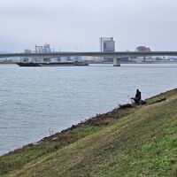 Donaubrücke Pöchlarn