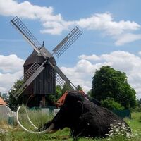 Bockwindmühle im Eiszeitgarten des Städtischen Museums Schloss Salder in Salzgitter