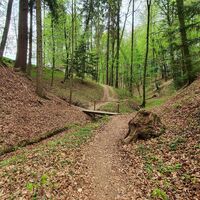 Steinbachklamm, Oststeiermark