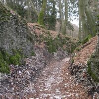 Hohlweg "Große Egge"