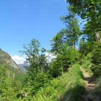 Frauenstein - Klaus - Steyerling - Brunnental - Ringsattel - Almtaler Haus - Gr. Ödsee - Hintere Hetzau